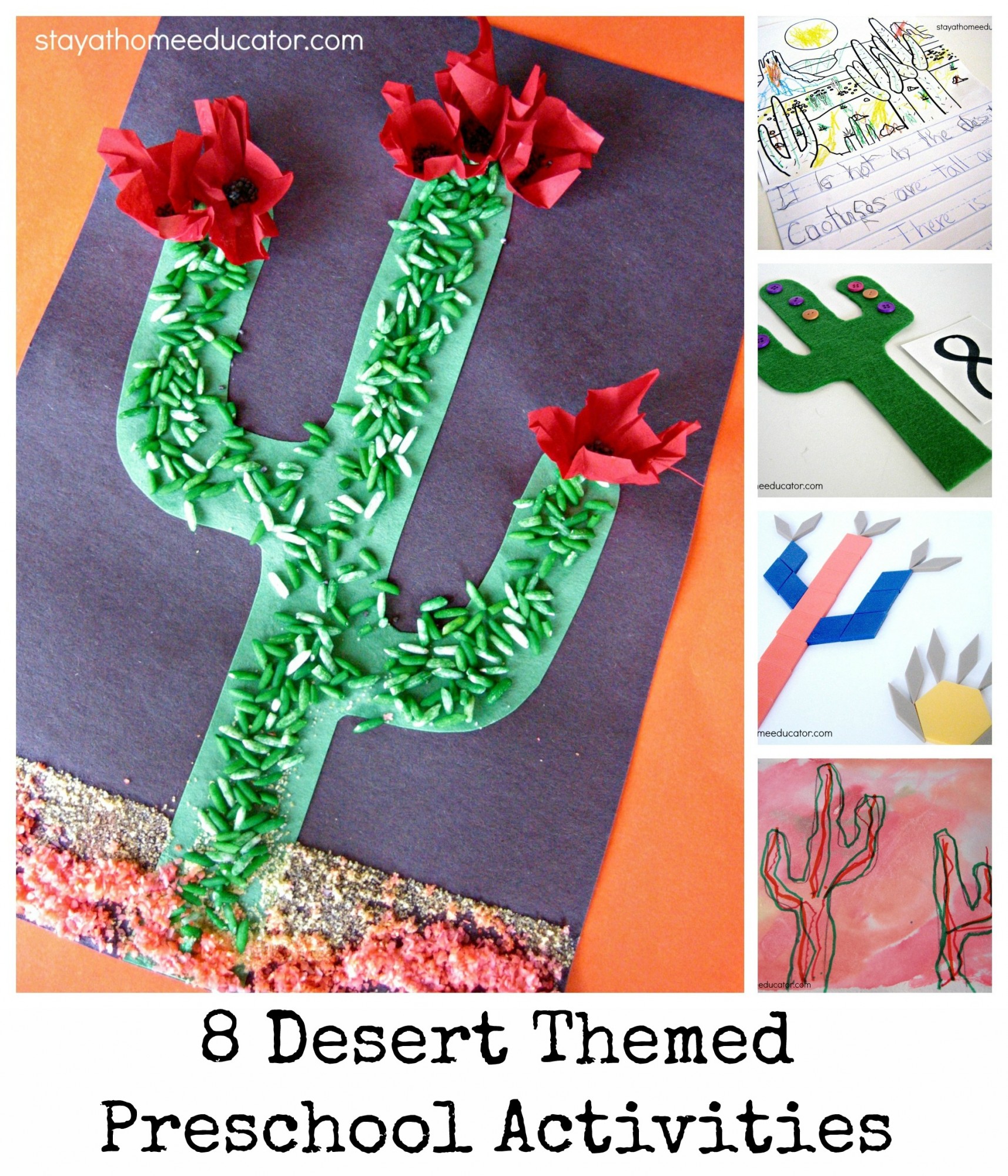 Desert Themed Preschool Unit - Stay At Home Educator
