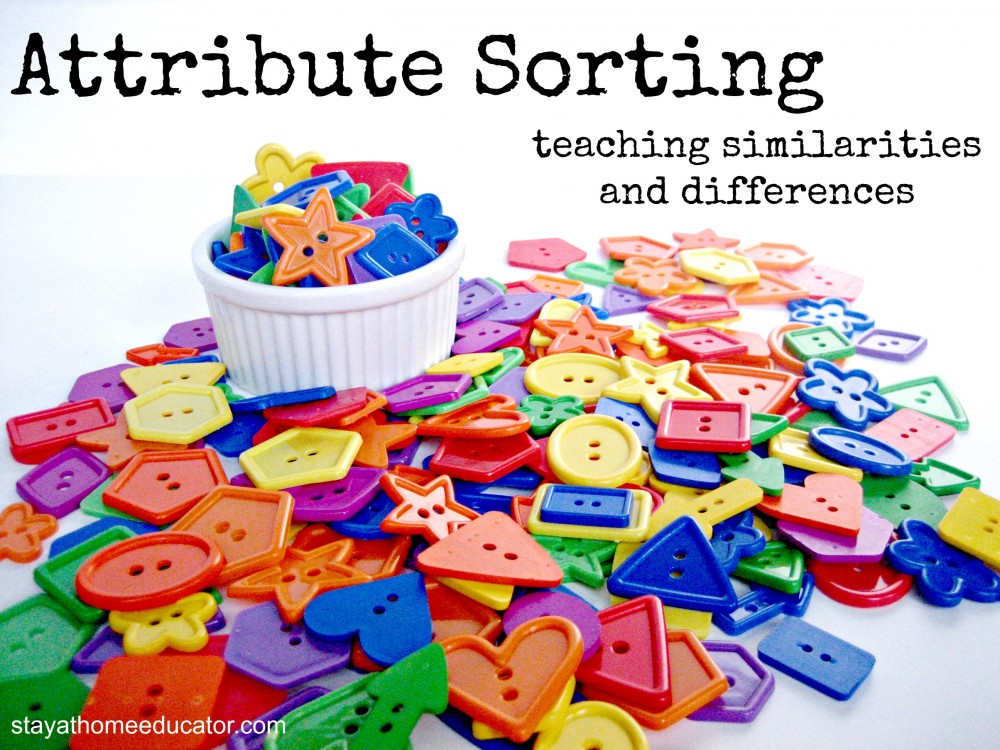 Attribute Sorting Activities For Preschoolers Stay At Home Educator