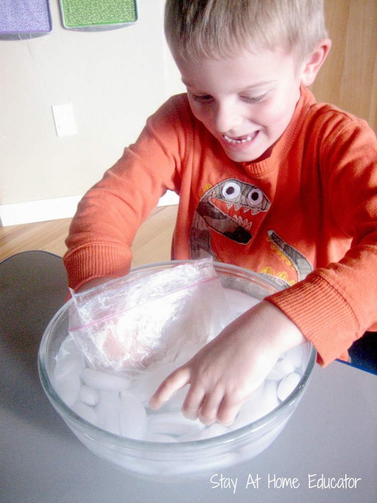 Blubber experiment - Stay At Home Educator