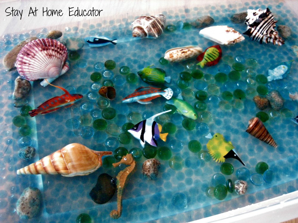 Ocean sensory bin - Stay At Home Educator