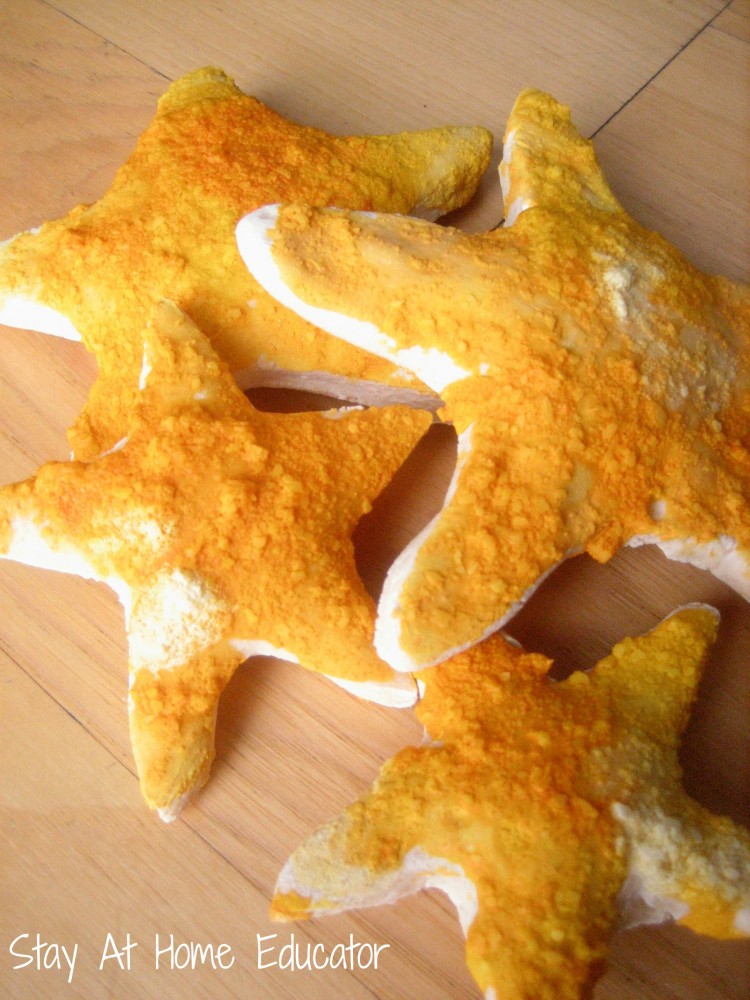 Salt dough star fish for ocean preschool theme - Stay At Home Educator