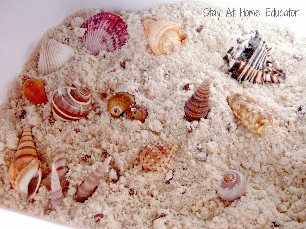 Seashell and cloud dough sensory bin for ocean preschool unit - Stay At Home Educator
