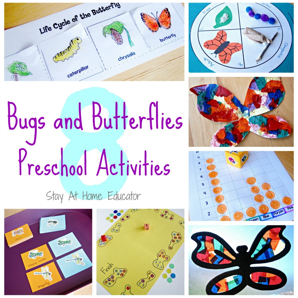 Eight Bugs and Butterflies Preschool Activities - Stay At Home Educator