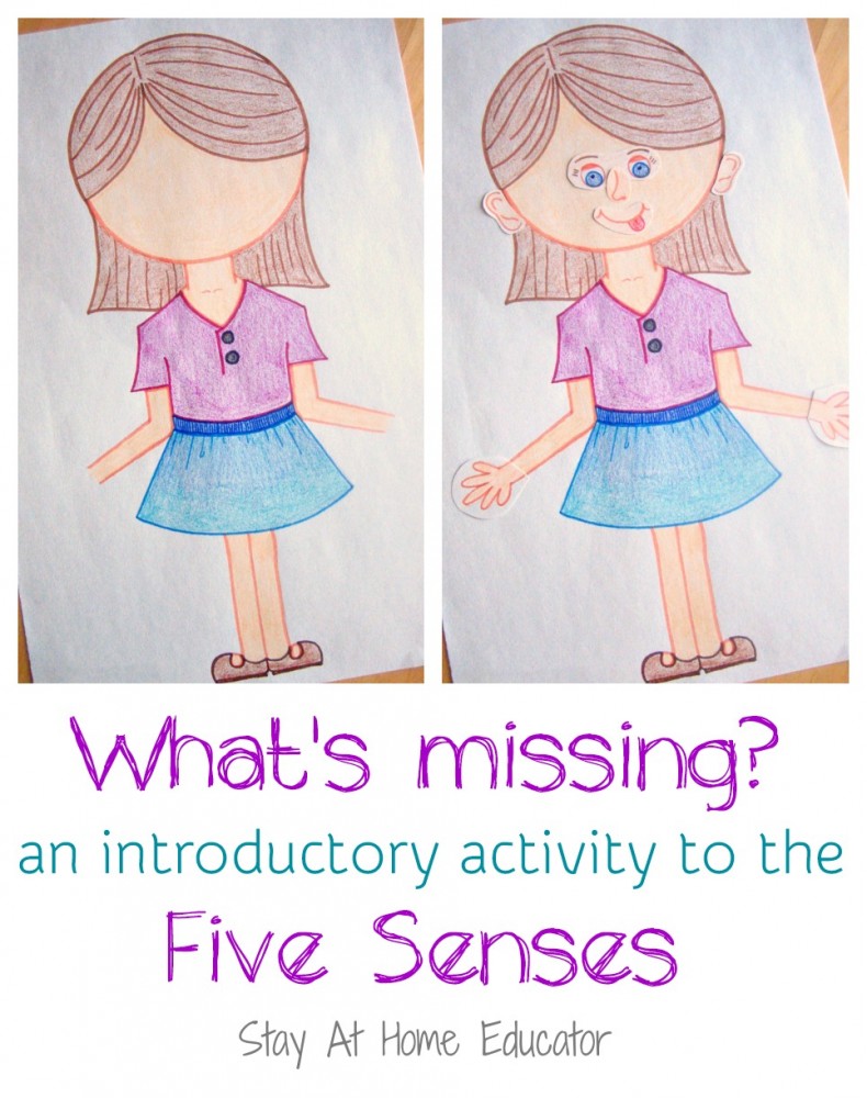 What's Missing An introductory activity to the five senses - Stay At Home Educator