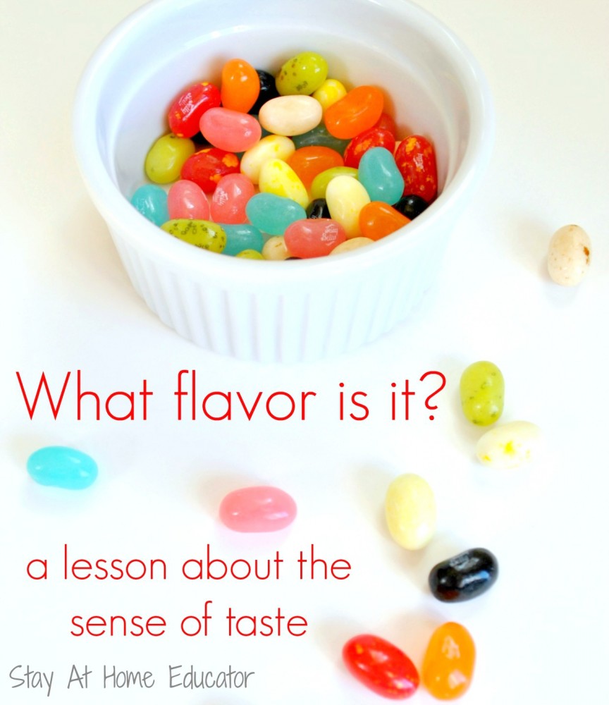What flavor is it a preschool lesson about the sense of taste in five senses theme - Stay At Home Educator