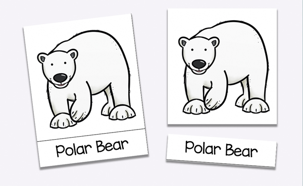 Free Arctic Animal Cards + 5 Arctic Animal Activities for Preschoolers
