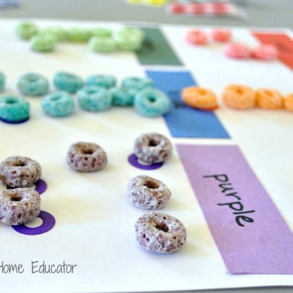 Egg carton counting teaching one to one correspondence