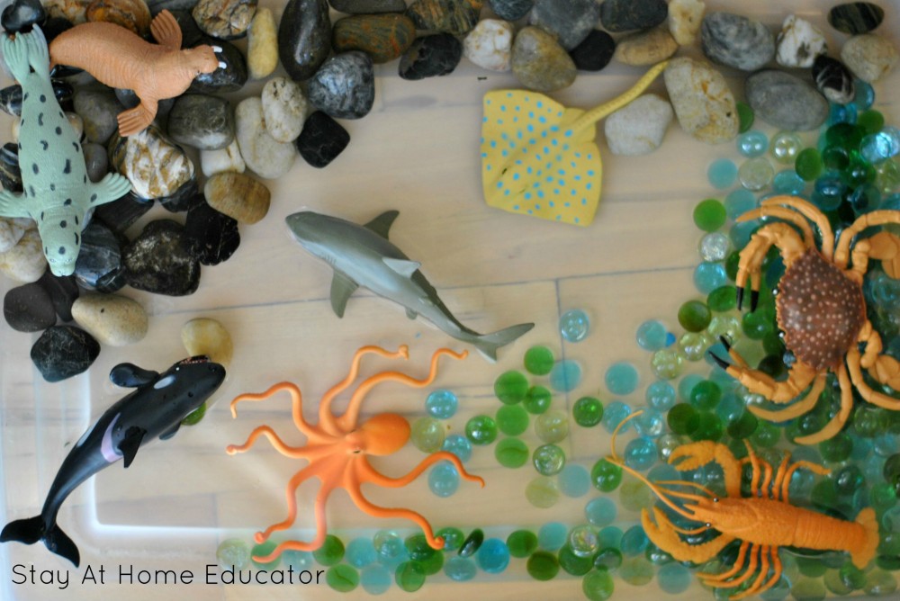 This ocean water table activity is wonderful for sensory learning