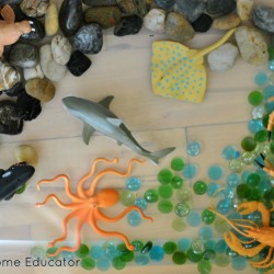 This ocean water table activity is wonderful for sensory learning