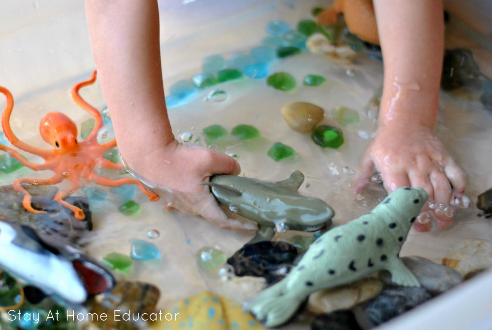 This ocean water table activity helps little learners discover the world of the ocean