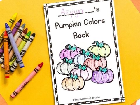 Image for Pumpkin Colors Booklet - Free Fall Printables