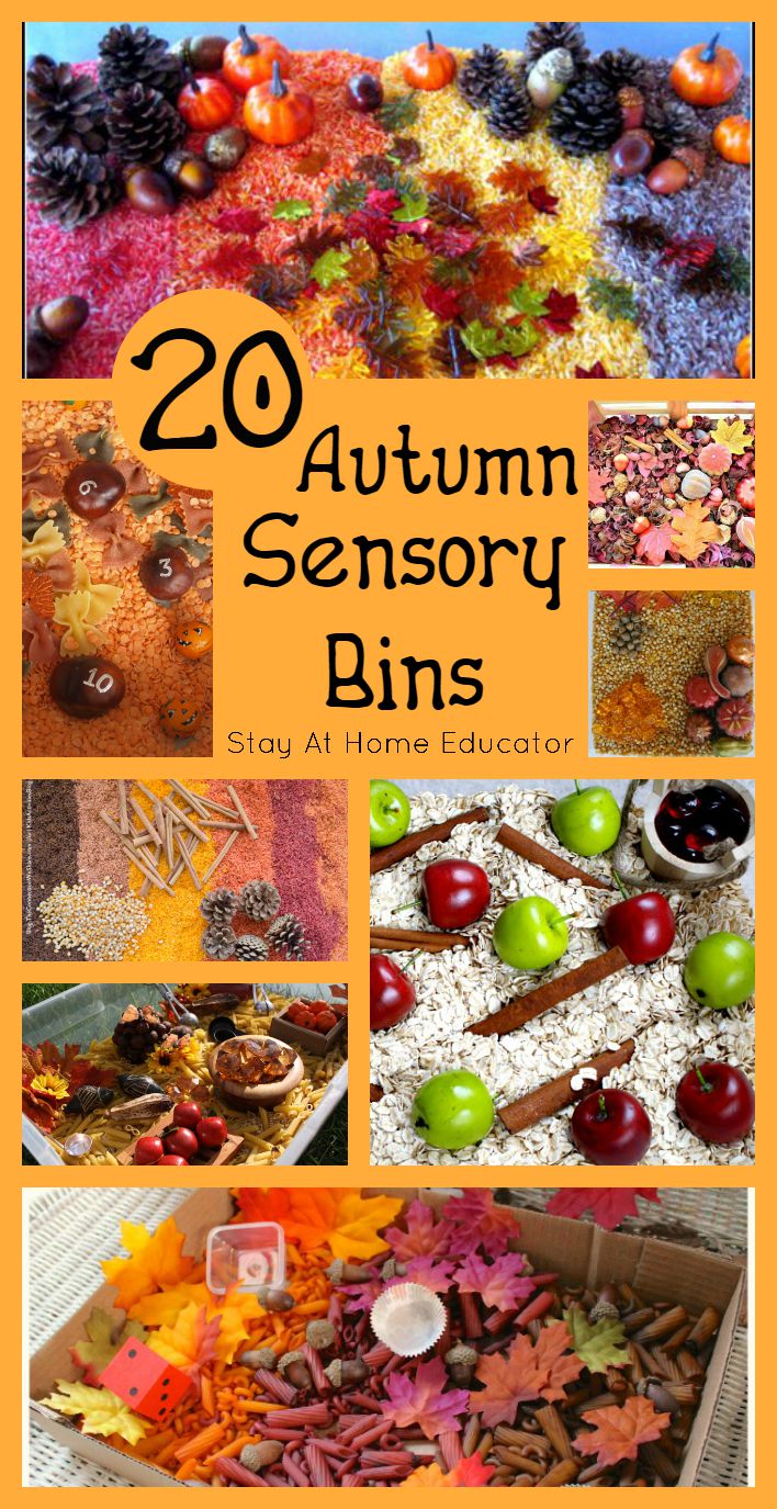 20 Autumn Sensory Bins - Stay At Home Educator