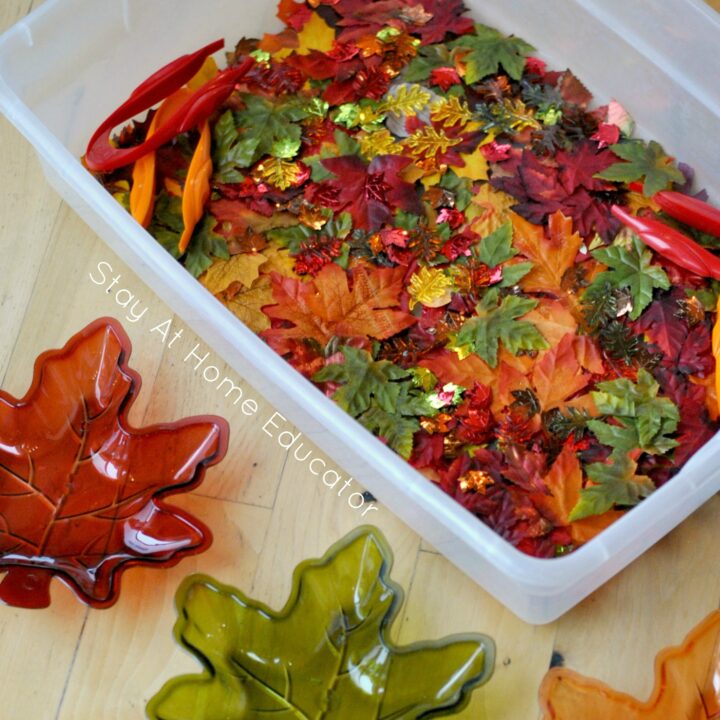 Autumn Leaves Sensory Bin for Preschoolers