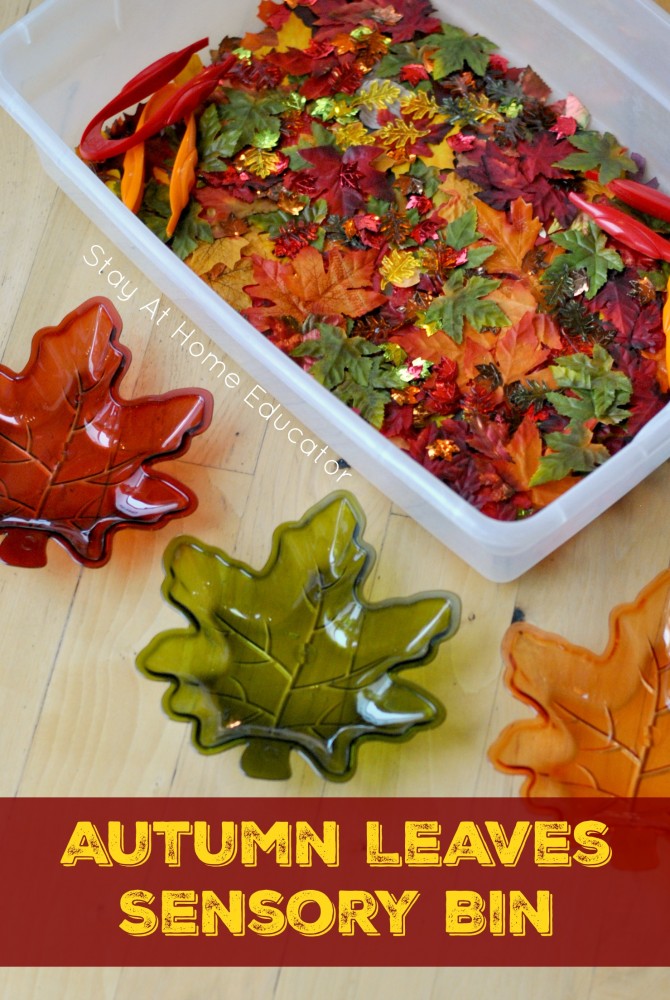 This autumn leaf sensory bin also doubles as a color srting activity!