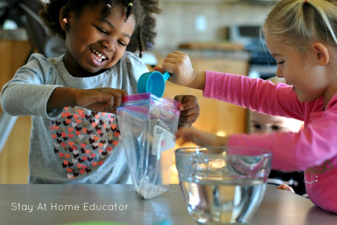 Science Investigation - What is Yeast's Favorite Food - Stay At Home Educator