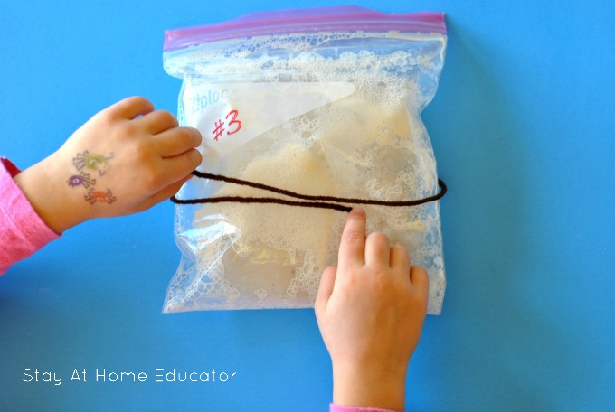What is Yeast's Favorite Food - a scientific investigation for preschoolers