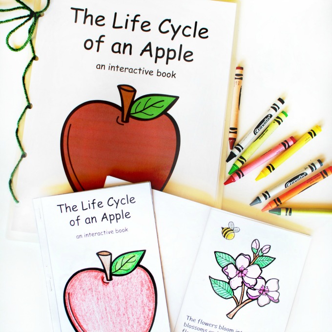 apple theme printable for preschoolers