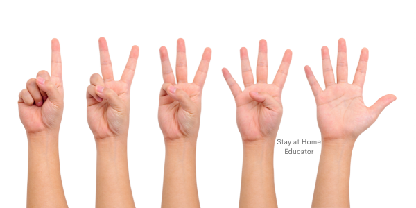 a child's hand holding up the numbers 1-5 to demonstrate number sense