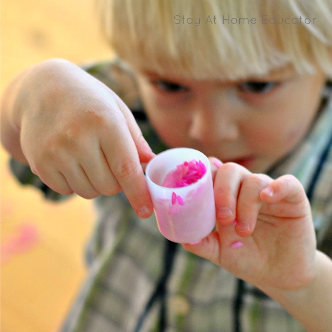 Little preschool boy examining the scoop of colored rice from the Valentine's day sensory bin
