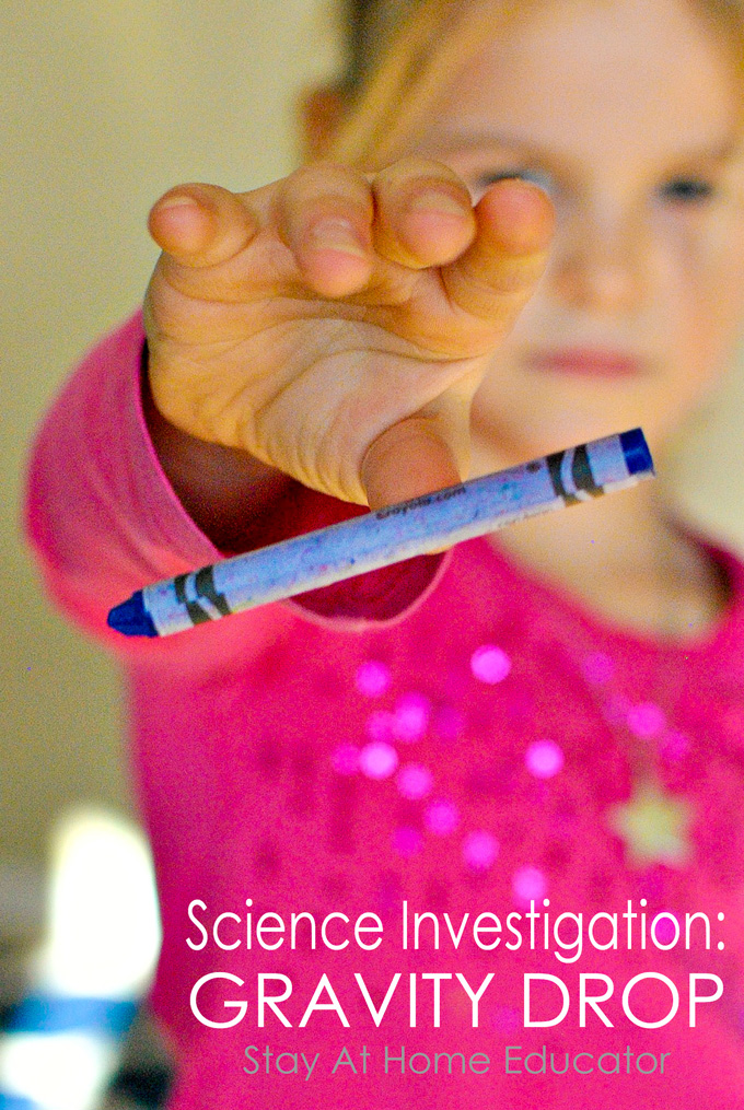Gravity Drop – a Preschool Science Investigation: This no-prep activity about gravity is perfect for teaching kids about how and why things fall when they're dropped.