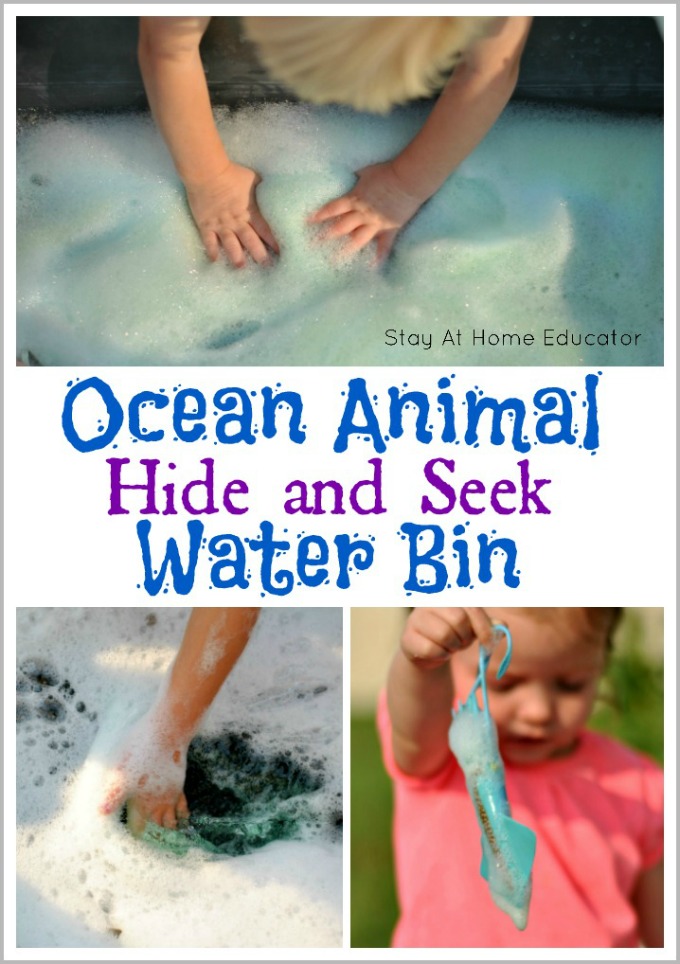 Ocean Animal Hide and Seek Sensory Bin This ocean-themed sensory bin for preschoolers is a fun, enjoyable and magical sensory activity - your kids will especially love playing with the bubbles! This is a perfect and easy sensory play activity!