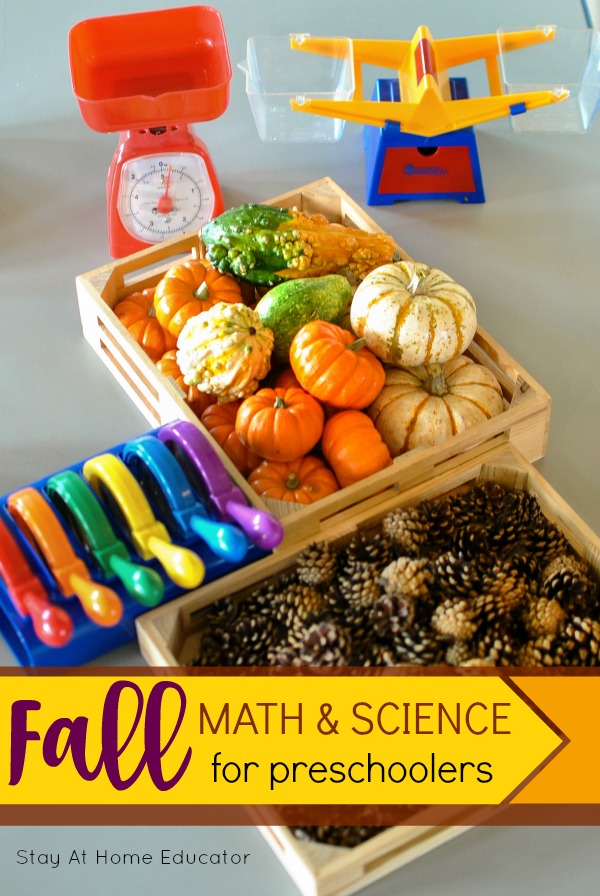 This fall math and science center for preschoolers is always a favorite! Using pumpkins, gourds, pine cones and fall foilage to learn about weight, measurement, and texture is one of the best learning activities for the season. It's a simple preschool activity you can easily do at home - no special equipment necessary!