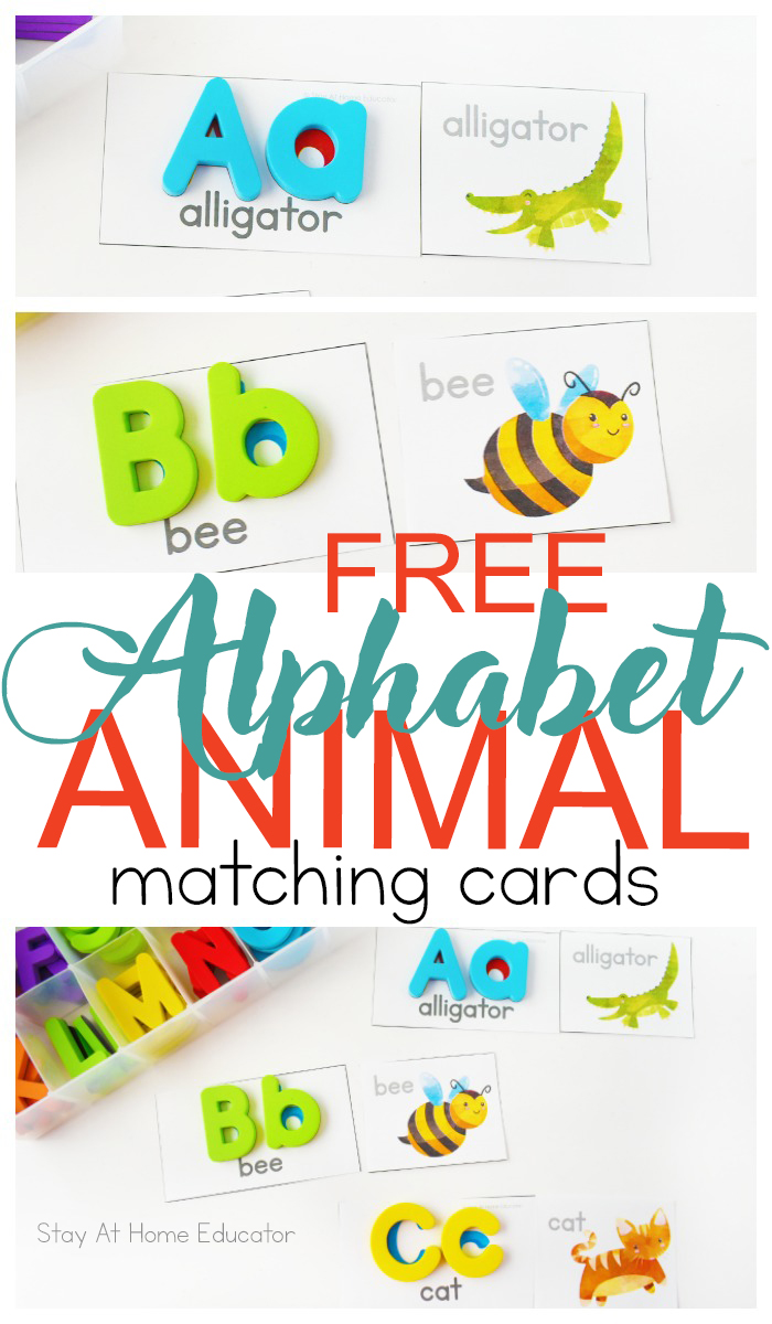 puzzle cards with matching letter manipulatives text says free alphabet animal matching cards | free alphabet animal puzzles |