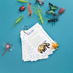 insect matching cards for preschool