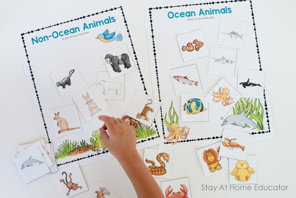 ocean animal sorting game, ocean printables for preschoolers, preschool ocean activities, ocean theme activities for preschoolers