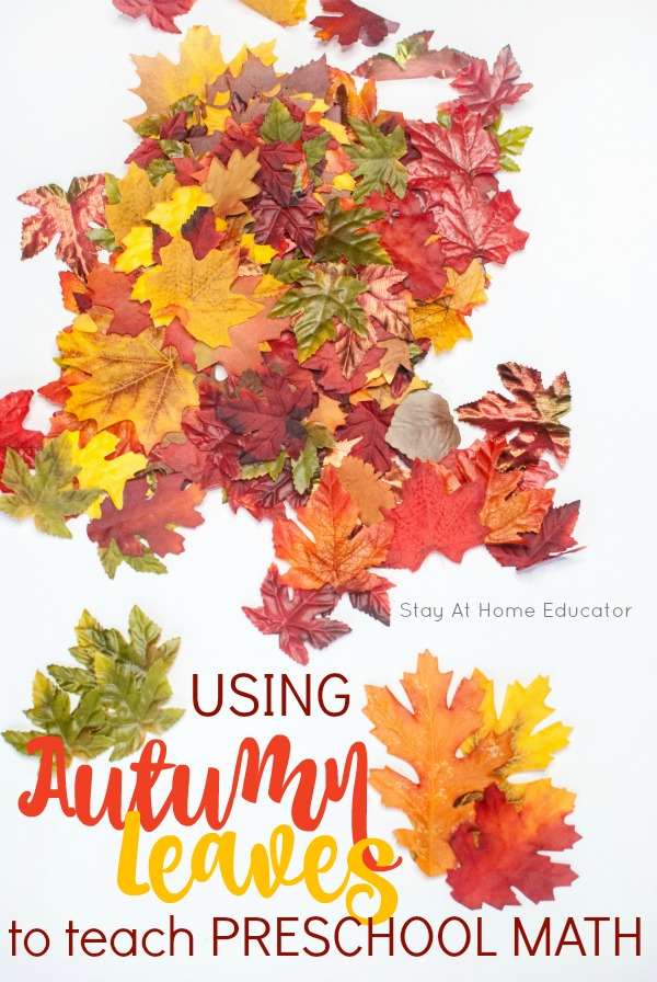 autumn leaf activities that teach math