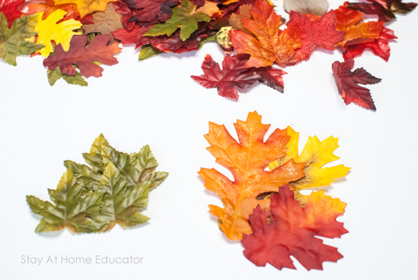 preschool autumn leaf activities - leaf sorting