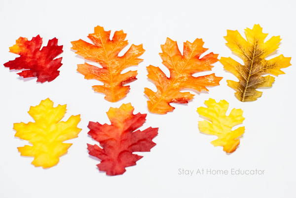 autumn leaf activities - matching leaves