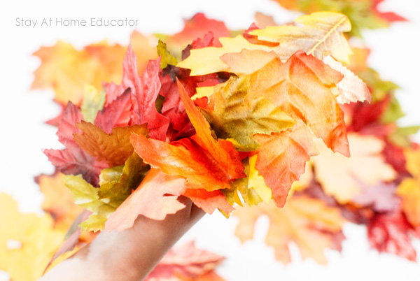 colorful leaves for autumn leaf activities