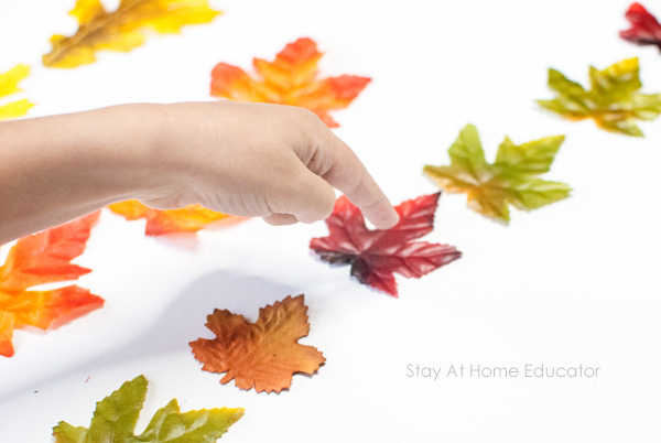 autumn leaf activities - counting leaves