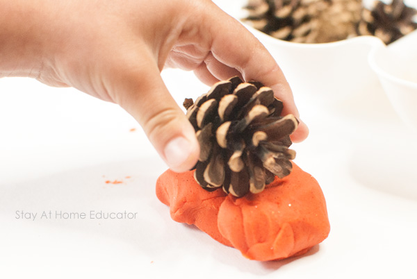 exploring nature and play dough - autumn activities for early years