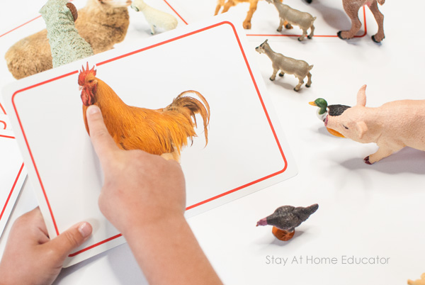 farm animal printables and photo cards to develop oral language skills in preschoolers