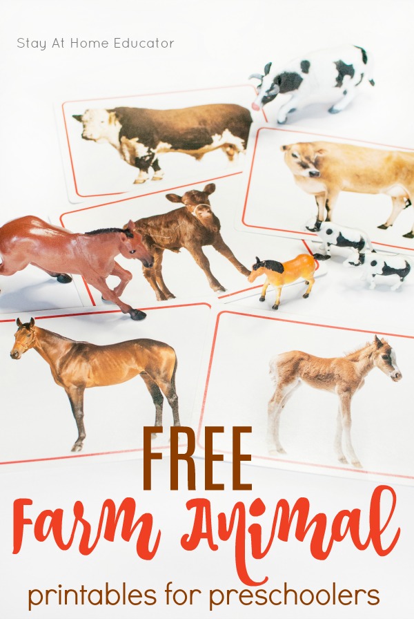 farm animal printables and photo cards to develop oral language skills in preschoolers