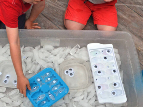 sensory play ideas for toddlers using sensory bins