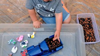 little blue truck activities | farm sensory bin | little blue truck farm animal sensory bin | farm preschool activities
