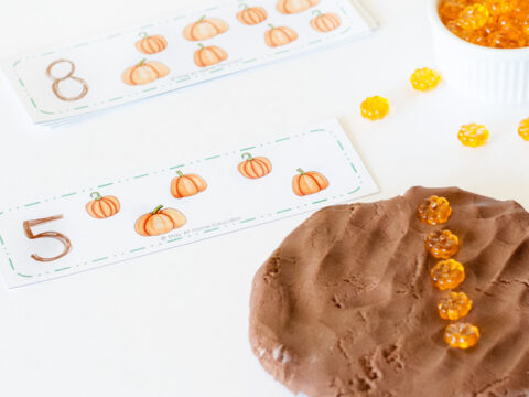 Image for Teach Twice the Math with FREE These Pumpkin Counting Cards