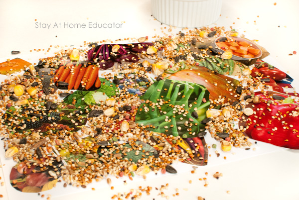 healthy food activities with seed collages