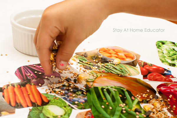 Sprinkling seeds on a healthy food activities collage
