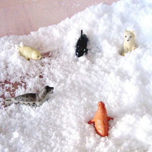 arctic animal preschool activity