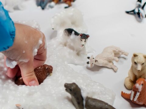 Image for Slime Avalanche Preschool Arctic Animal Activity