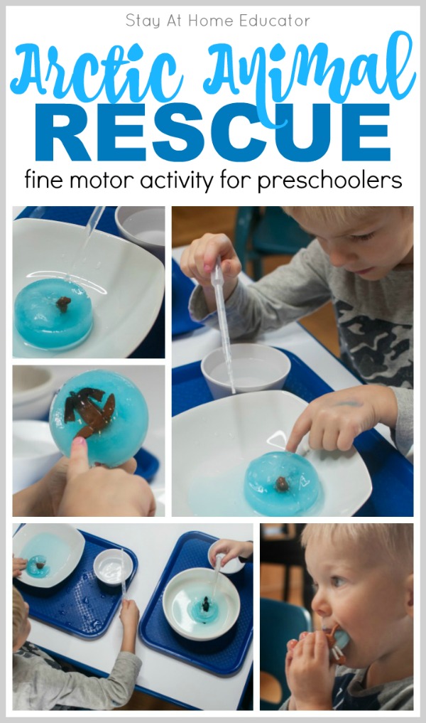 Arctic Animal Fine Motor Activities for Preschoolers