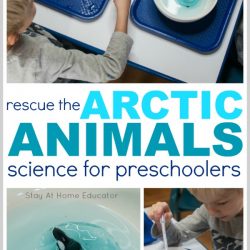 These arctic animal fine motor activities includes science for preschoolers and hands-on fine motor skills | arctic animals |