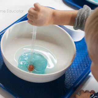 A boy squeezes a water pipette to free the arctic animal | fine motor activities | arctic animal activities for toddlers |