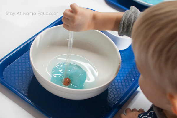 Arctic theme fine motor activities for preschoolers, poking the pipette into the ice