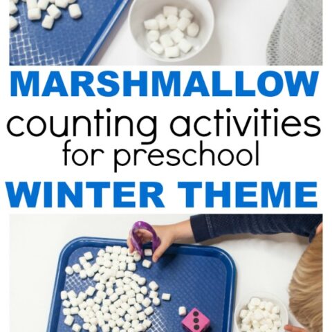 MARSHMALLOW SNOWBALLS WINTER COUNTING ACTIVITIES