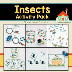 insects activity pack for preschoolers